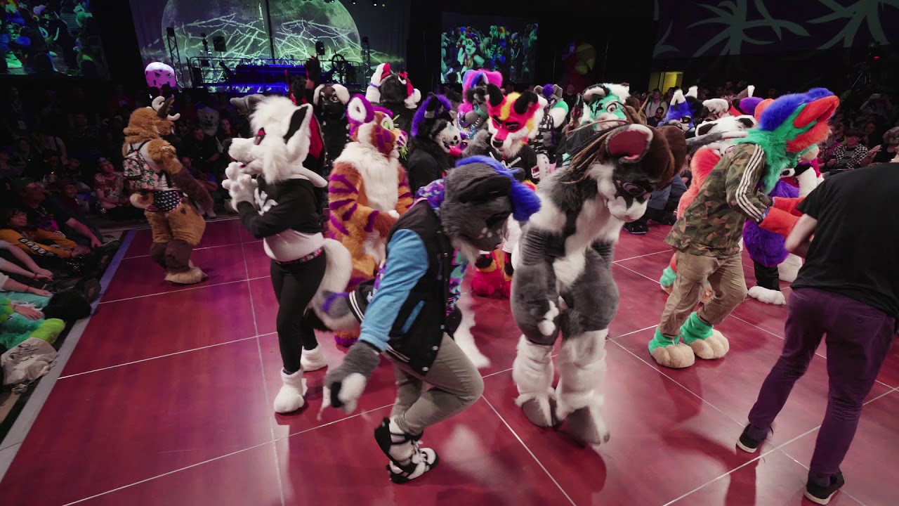 FWA 2019 Highlights!