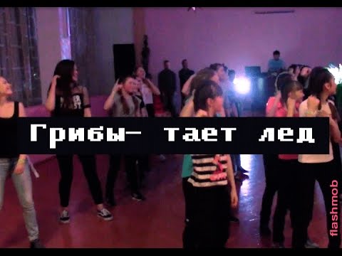 Грибы - Тает Лед