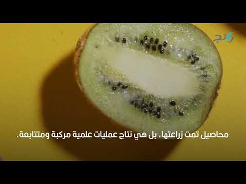 فيديو: هل الفاكهة الخالية من البذور حقيقية؟