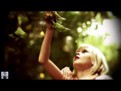 Paramore - Brick