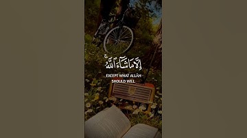 رعد الكردي سورة الاعلى #رعد_الكردي  #سورة_الأعلى #islam #quran  #قرآن_كريم #raadalkurdy #القرآن