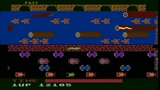 Celebrity FROGGER (ATARI 800XL) Net Worth