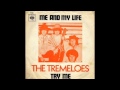 The tremeloes me and my life