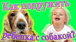 Как ПОДРУЖИТЬ ребенка с собакой? РАЗВЛЕкаТЕльНОе видео ДЛЯ детей и их РОДИТЕЛЕЙ! Как ПОДРУЖИТЬ ребенка с собакой? РАЗВЛЕкаТЕльНОе видео ДЛЯ детей и их РОДИТЕЛЕЙ!
