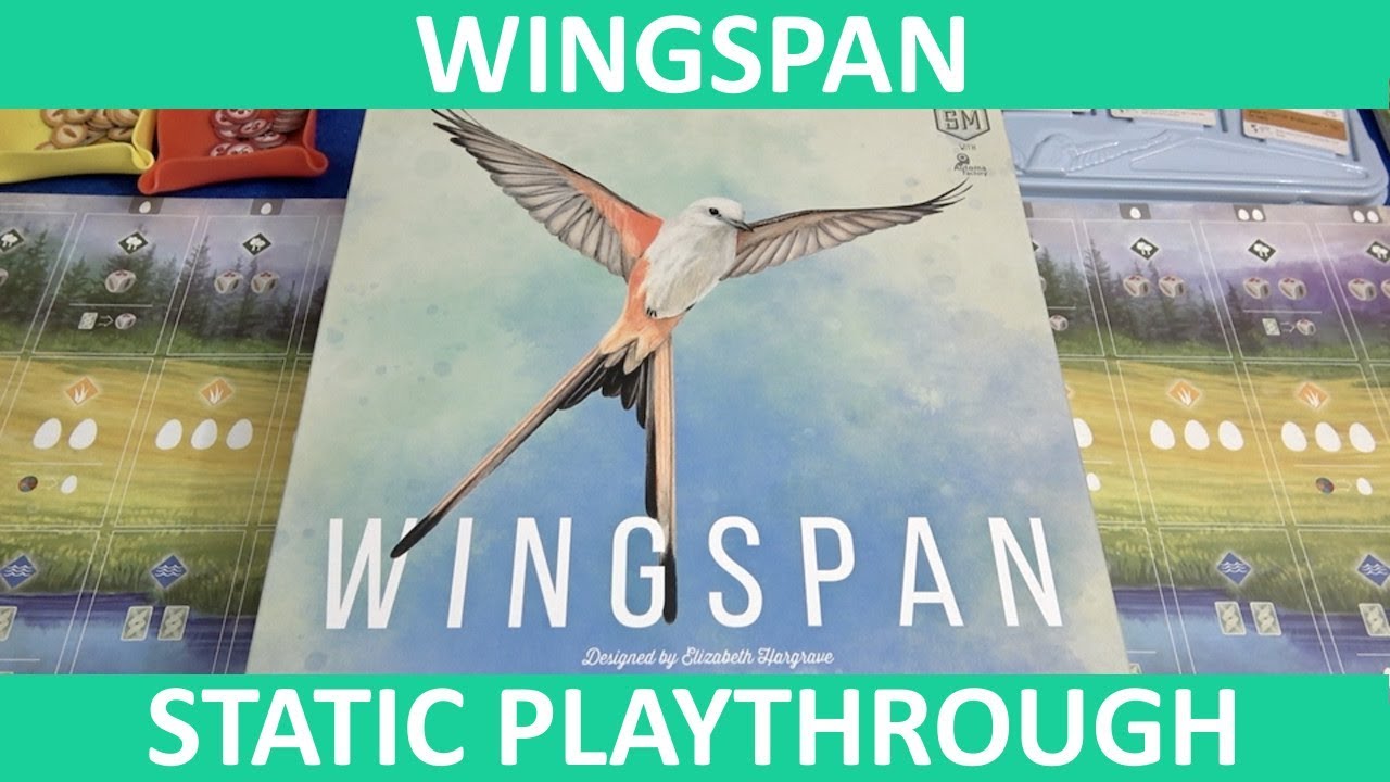 Wingspan - Playthrough (Static Camera) - slickerdrips - YouTube