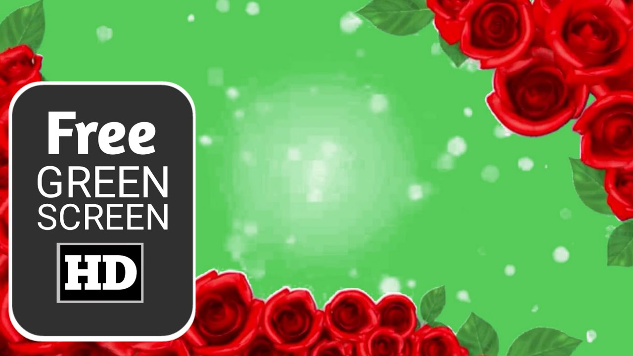Rose flower frame green screen effects video||flower green screen video ...