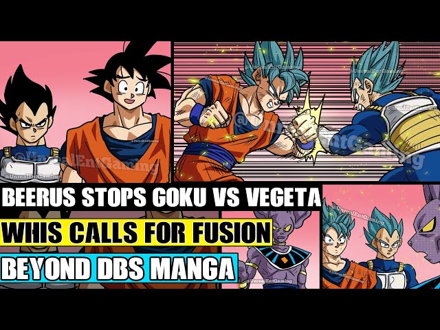 Dragon Ball officially justifies why Goku is always stronger than Vegeta -  Meristation