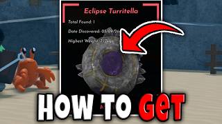 How to GET ECLIPSE TURRITELLA FAST in SHELLS FULL GUIDE LOCATION DROP Roblox
