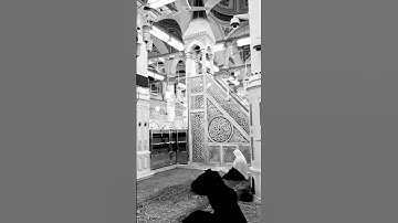 إنا أنزلناه ليلة القدر #سورة#القدر #القرآن_الكريم #رمضان_كريم#ليلة_القدر #دعاء #اكسبلور #