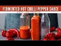 EASIEST Fermented Hot Chilli Pepper Sauce - Habanero and Birds Eye