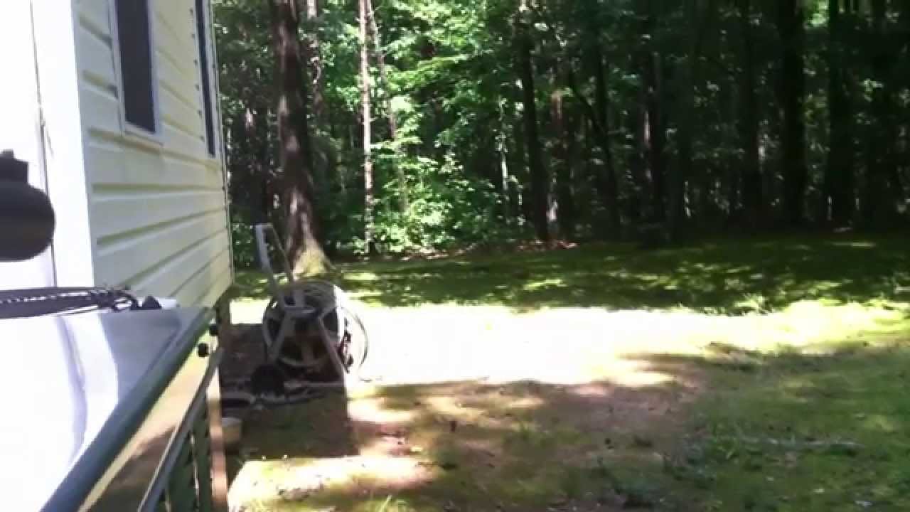 Shooting squirrel with Remington 20 gauge YouTube