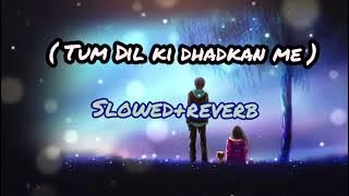 Download lagu New lofi song tum Dil ki dhadkan me lofi slowed reverb song Hindi #lofi #music