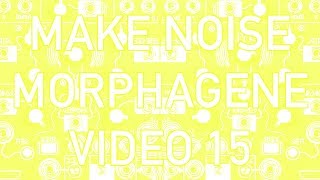 Make Noise - Morphagene #15 - Sonar Toothbrush #MorphageneMondays