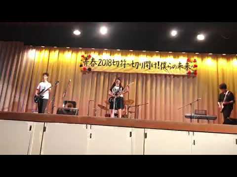 ポルカドットスティングレイ エレクトリックパブリック 高校 文化祭