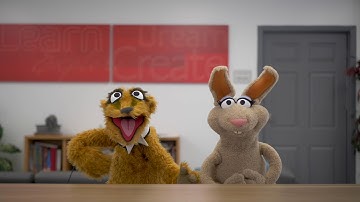 The Importance of being an Ally