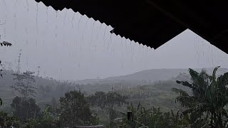 ฝนตกและพายุฝนฟ้าคะนองในหมู่บ้านสุดเจ๋งของฉัน จิตใจที่ผ่อนคลาย และการนอนหลับลึก - Indorain