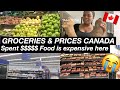 Grocery Haul with Prices in Canada|Cost of living in Canada|Canada Grocery Shopping|Life in Canada