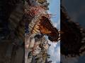 ⚡ Kratos vs Dreki – The Roar of a God 🔥