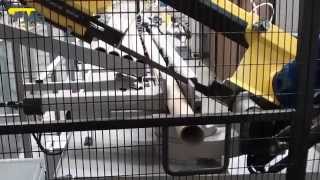 FMB-LOADER Net Worth