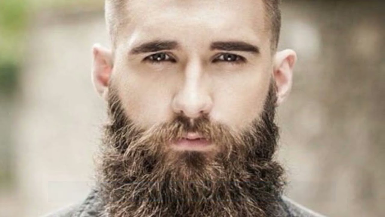 Mens Beard Styles - Beard Picutes & Beard Care - Detroit Barber Co.