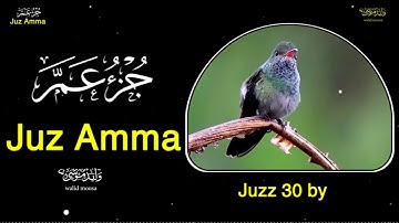 جزء عم تلاوة خاشعة تهدي النفوس وتلامس القلوب | Juz Amma Soul-Soothing and Heart-Touching Quran Rec