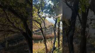 Thai Burma Border Beautiful Small Village Pilok