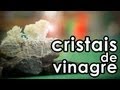 Como fazer CRISTAIS COM VINAGRE | EXPERIÊNCIA de QUÍMICA FÁCIL