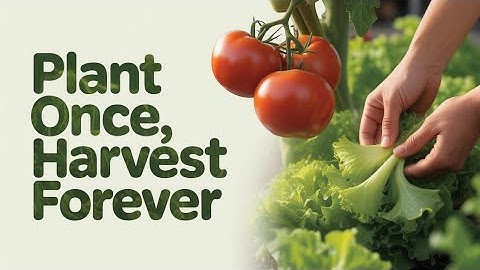 Plant Once, Harvest Forever: The Secret to Perpetual Harvests!