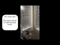 10/01/2025 - 1pm Loud Pool Music already! Flats on San Felipe Apartments Austin Texas