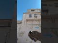Crazy Box Smoke From Spawn On Dust 2 #shorts #cs2