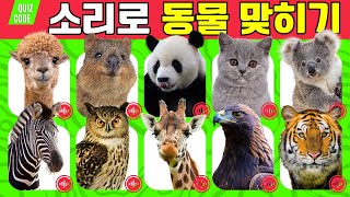 동물소리 퀴즈 게임 | 울음소리 듣고 동물 맞히기 | 스피드 퀴즈 | guess the animal sound screenshot 1