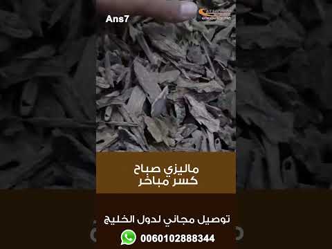 عود ماليزي صباح كسر مباخر سرواك صباح كمبودي بهانق كلمنتان بخور سوبر مرتفع هندي ماليزي ازرق