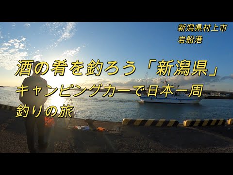 酒の肴を釣ろう「新潟県岩船港」キャンピングカーで日本一周釣りの旅