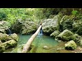 River in Barbados | Cattlewash St. Joseph