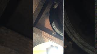 JTR speaker screw issue