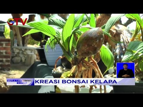 Video: Berita Bernilai Baik Hari Ini 2/16/11