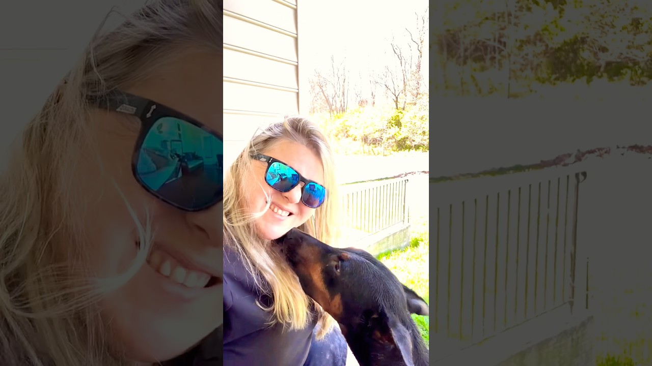 Glow Up… But Make It Real #GlowUp #DogMom #Doberman #RealLife #SelfImprovement