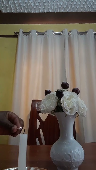 romantic-killer-how-to-control-house-flies-using-candle-shorts