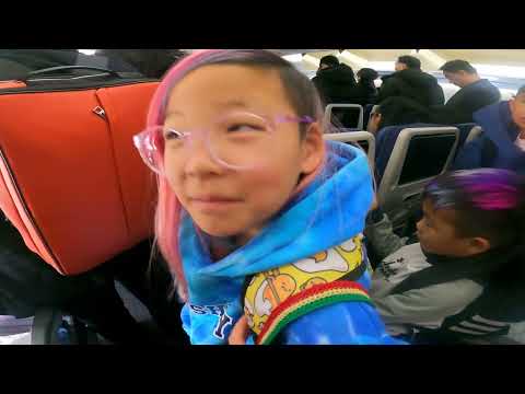 Seoul To Osaka 12 12 2024