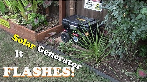 Police style "wig wagger" wired into 12v garden pond solar generator - Stop Alert Fast Wagger 240