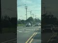 Geese Traffic Nj July Summertime Sunday Geese Traffic Nj July Summertime Sunday