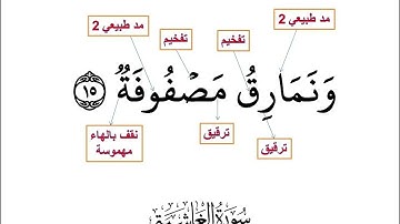 088 -   سورة الغاشية المصحف المعلم( المصحف المعلم) صالح عبد المقصود صالح