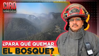 Talamontes estarían provocando incendios forestales en Jilotzingo, Edomex | Ciro