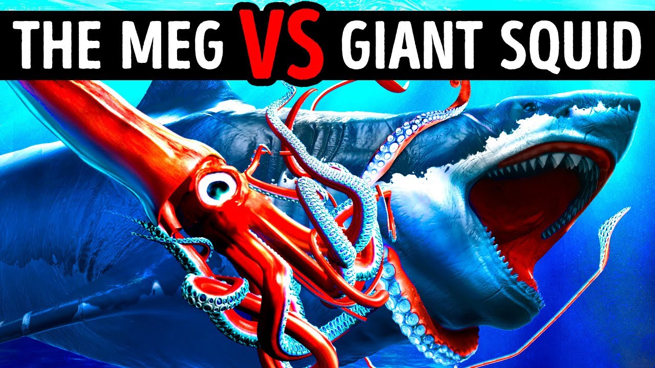 What If Megalodon Met His Scariest Sea Enemies – Who Would Rule The Ocean?