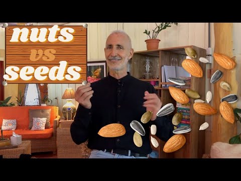 וִידֵאוֹ: האם אתה מגדל אגוזים או זרעים: מה ההבדל בין אגוזים וזרעים