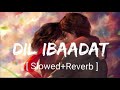 Dil ibaadat slowedreverb kk  tum mile  textaudio