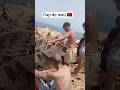 شوف شاب شجاع كيجرب يقفز من أعلى قمة فـ البحر قابويوه مغامرات خطيرة في الشواطئ المغربية شوف شاب شجاع كيجرب يقفز من أعلى قمة فـ البحر قابويوه مغامرات خطيرة في الشواطئ المغربية