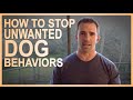 How to STOP Unwanted Dog Behaviors