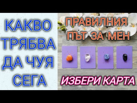 Видео: Кой има правилния път?