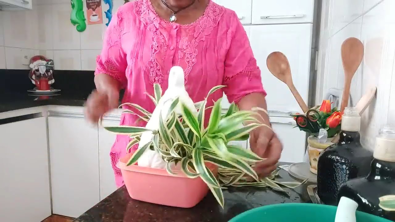 Montando  o arranjo.